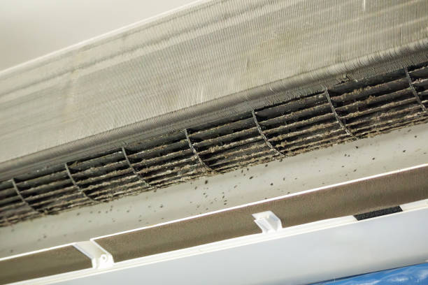 Best Air Duct Cleaning Near Me  in Massapequa Park, NY